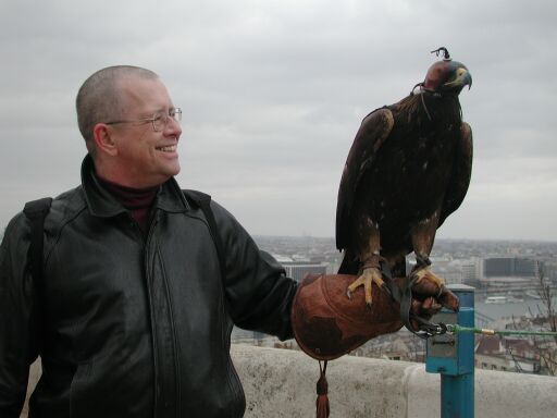 Dave and The Hawk