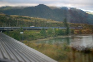 (c) 2013 David Smith