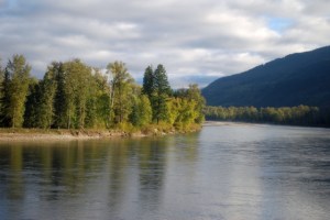 (c) 2013 David Smith