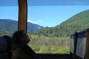 (c) 2013 David Smith