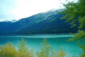 (c) 2013 David Smith