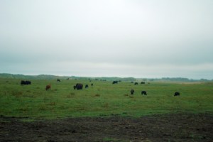 (c) 2013 David Smith