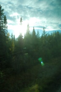 (c) 2013 David Smith